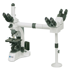 Multi-viewing Biological Microscope FM-MBM-A101