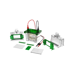 Vertical Electrophoresis System FM-VES-A100