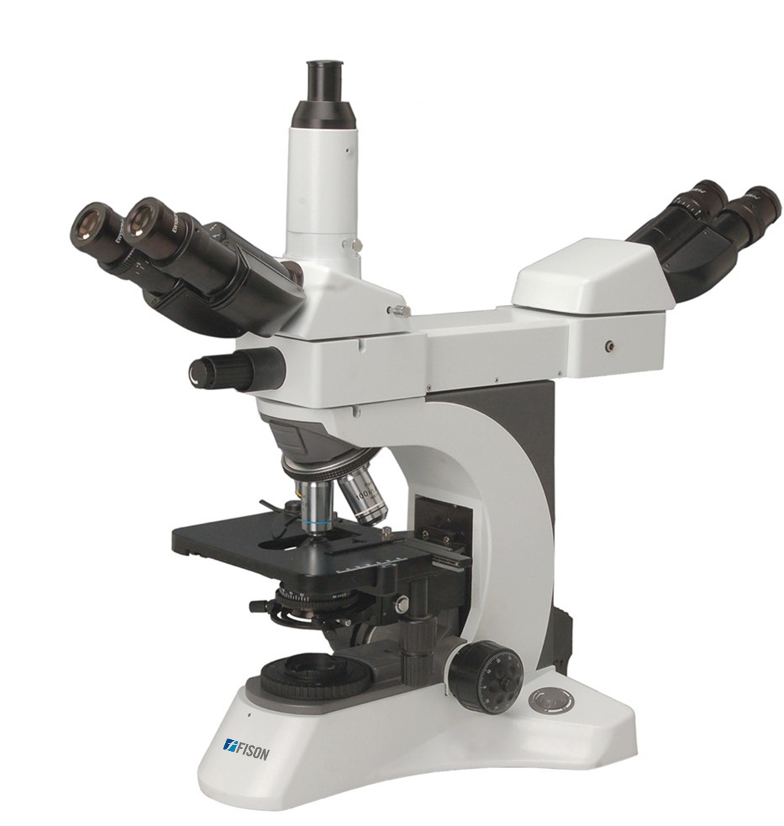 Multi-viewing Biological Microscope FM-MBM-A103